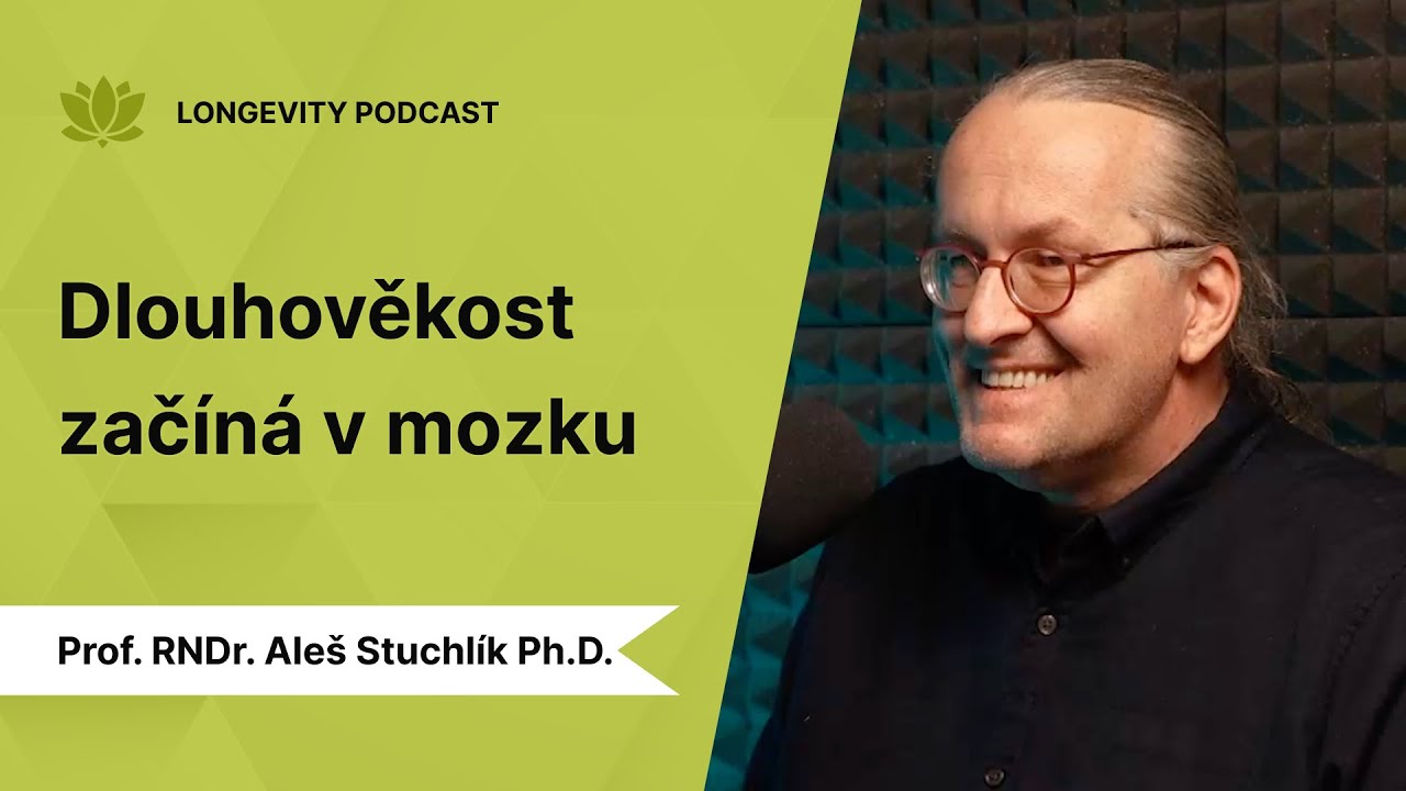 Bez funkčního mozku náš život za moc nestojí | Prof. Aleš Stuchlík
