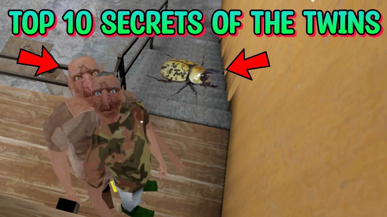 Top 10 secrets of The Twins || Top 10 secret of Bob and Buck || Enormous Gamer