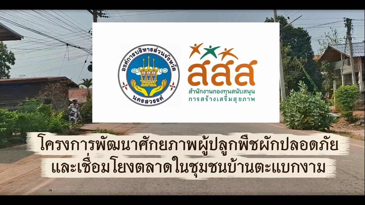 โครงการพัฒนาศักยภาพผู้ปลูกพืชผักปลอดภัยและเชื่อมโยงตลาดในชุมชนบ้านตะแบกงาม