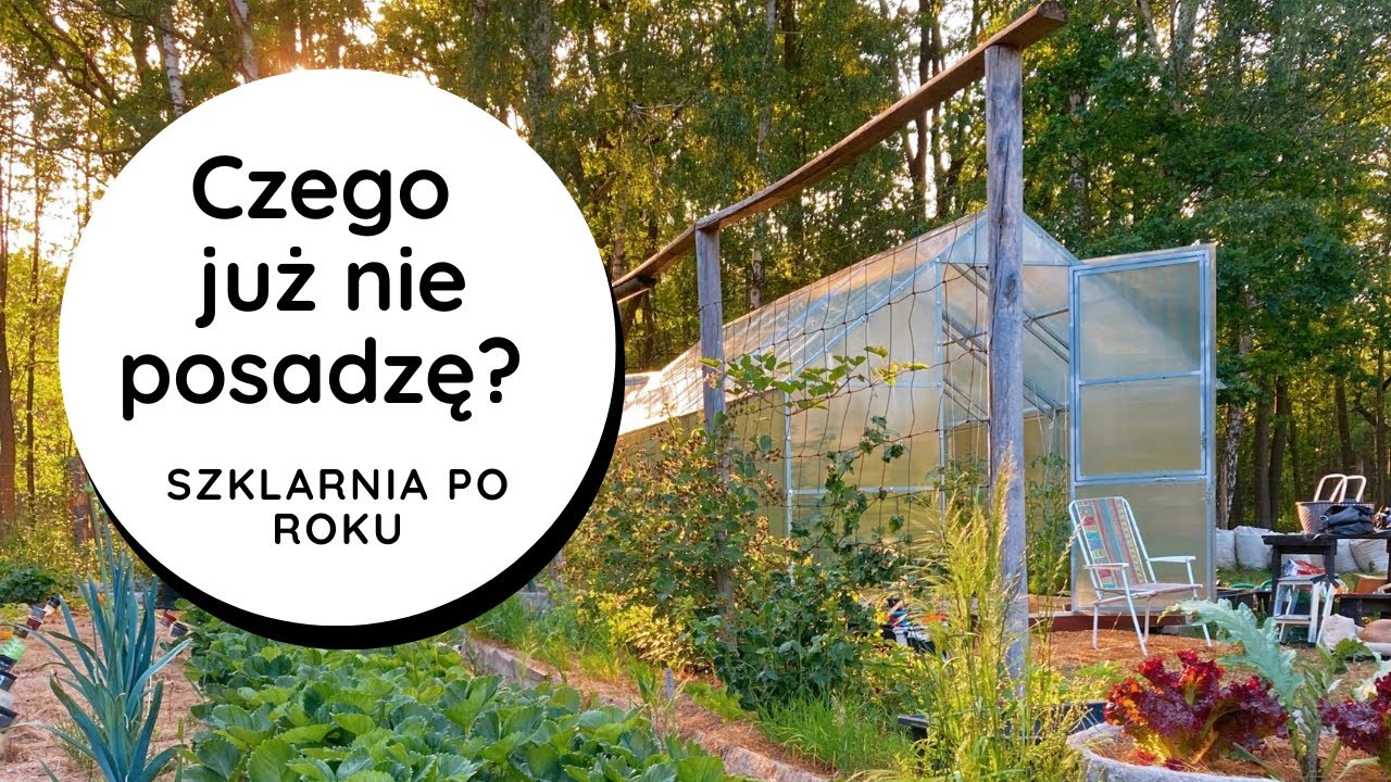 Sukcesy👍 porażki👎i wnioski po roku upraw w szklarni. Co się udało a co było porażką? Czy było warto?
