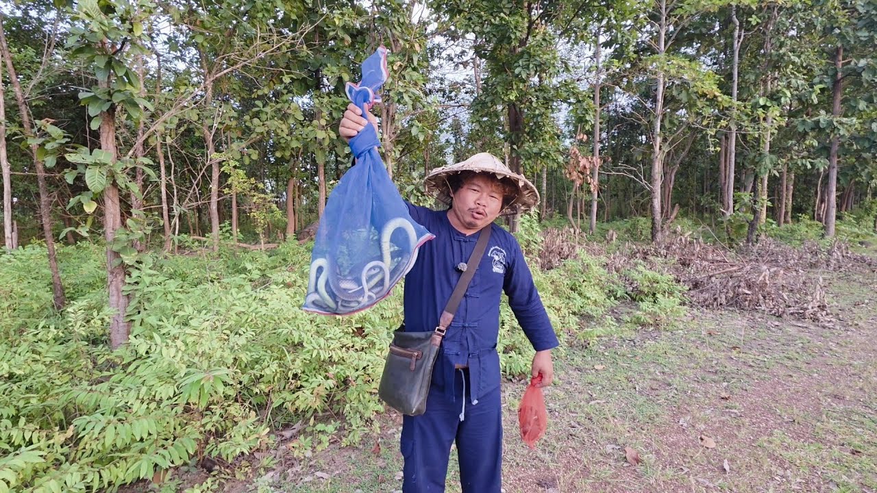#เที่ยวลาว#บรรยากาศการเดินทาง แวะตลาดของป่า บ้านป่าไร่ เมืองไชพูทอง #แขวงสะหวันนะเขต ปล่อยงู-นกทำบุญ