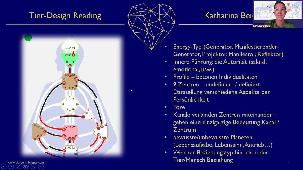 Tier Design | Human Design lerne Dich und Dein Tier auf eine einzigartige Weise kennen