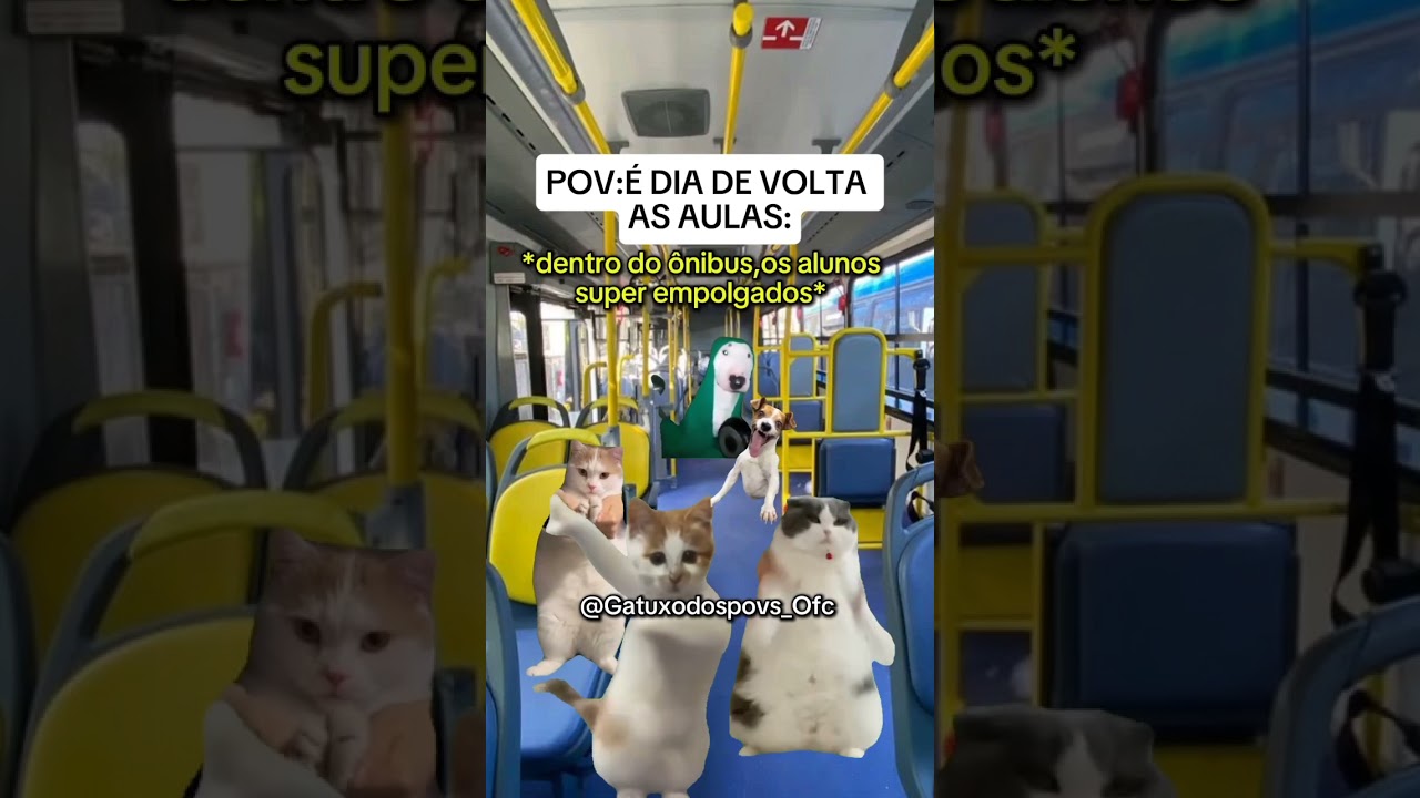 POV:&Eacute; dia de volta &agrave;s aulas 😬 #pov #escola #colegio #escolapublica #aula #ferias #voltaasaulas