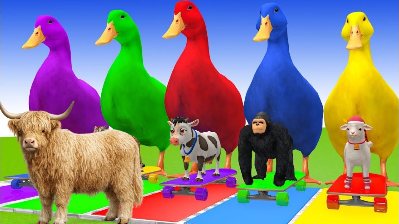 Long Slide Game With Elephant Gorilla Buffalo Hippopotamus Tiger 3d Animal Game Funny 3d Animal 0376
