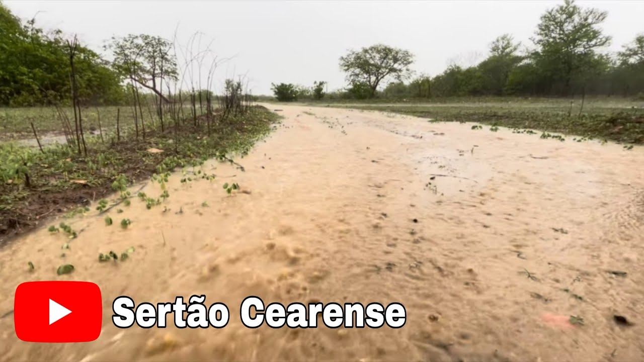 🔴 DIA DE MUITA CHUVA NO INTERIOR DO CEARÁ / MIRAÍMA-CEARÁ 