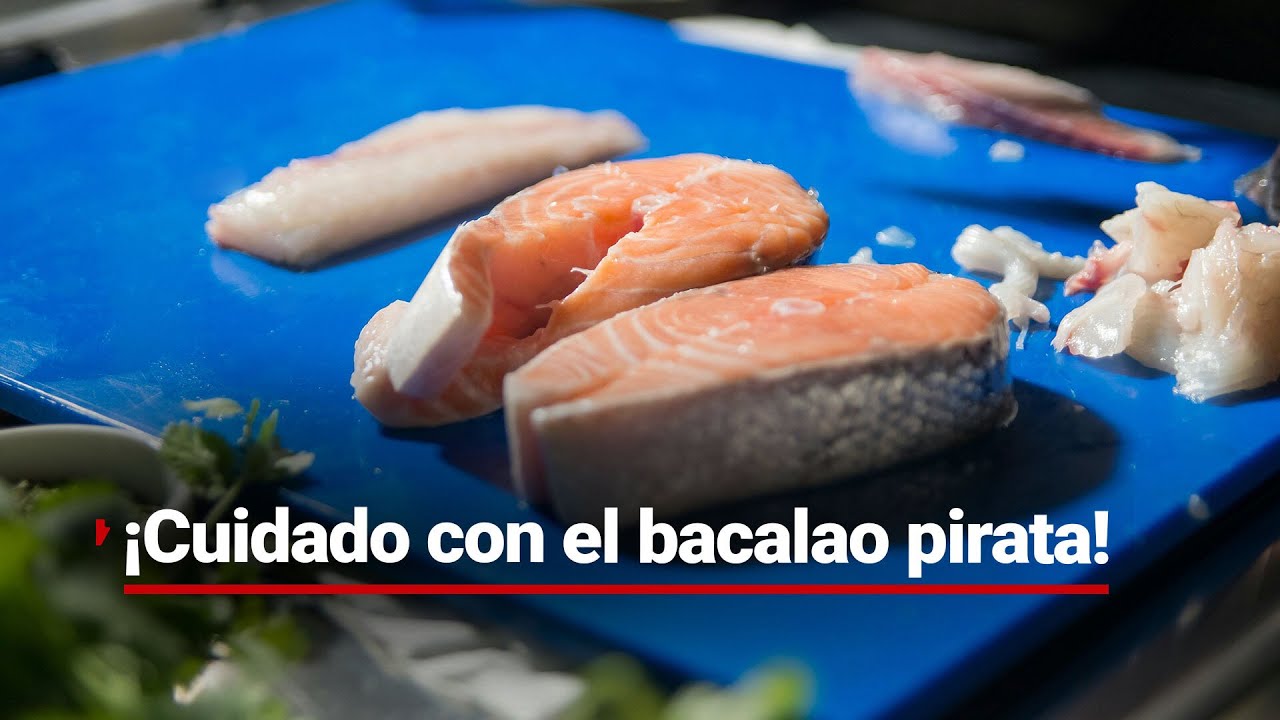 ¡Gato por liebre! En mercados venden tiburón y lo hacen pasar por bacalao. ¿Cómo identificarlo?