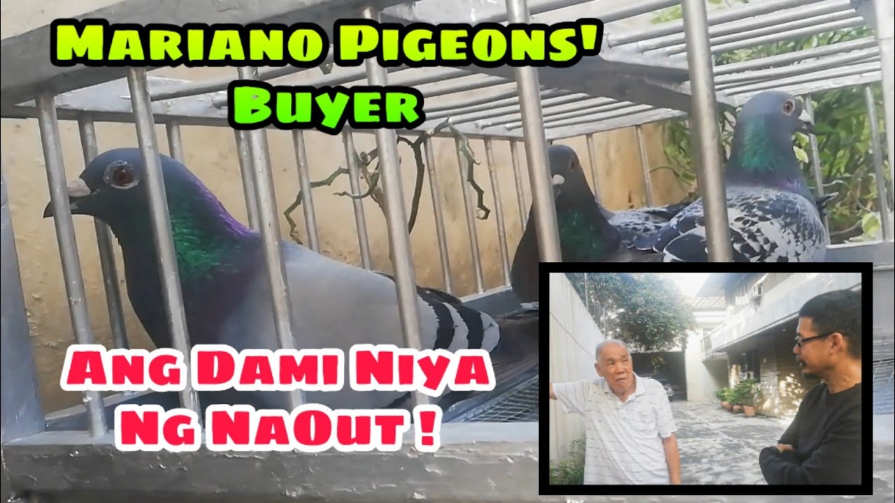 Dami Na Nating Nasamahang Buyer Kay Mariano Lee