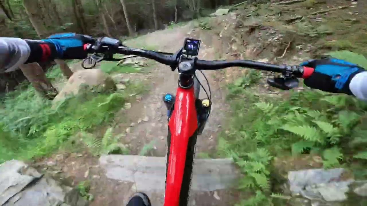 Mondraker crafty XR 2022