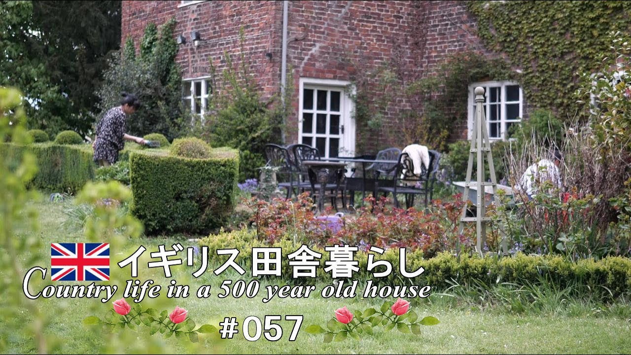 57 本気のガーデニング🌱身近な道具でプロの仕上がりトピアリー【イギリス田舎暮らし】