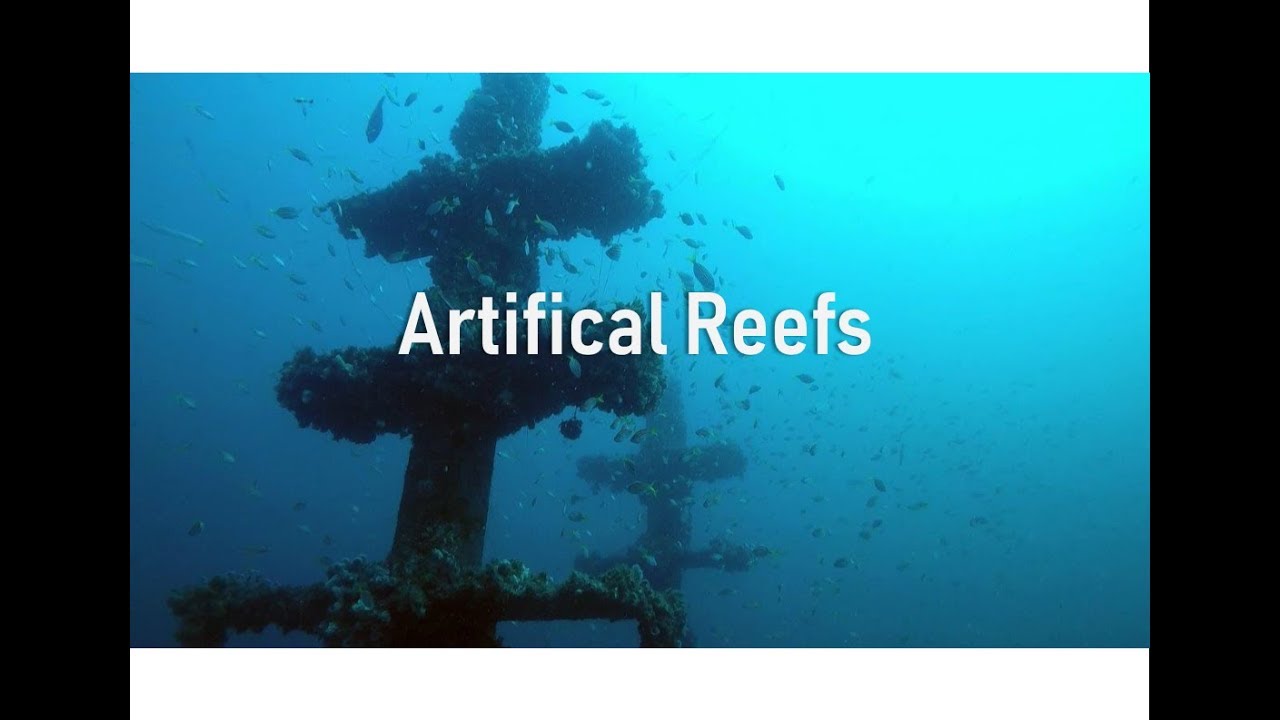 Artificial Reefs