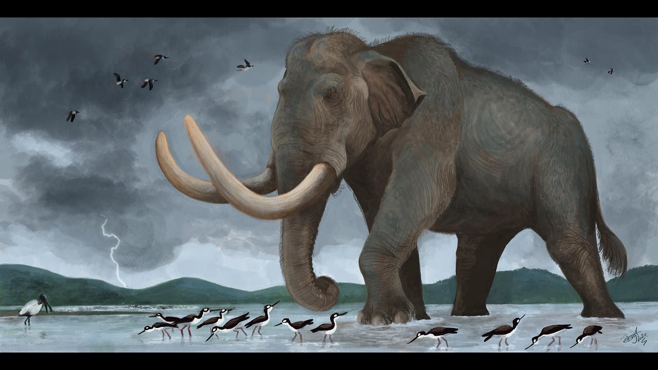 Mammoths: Titans of the Ice Age