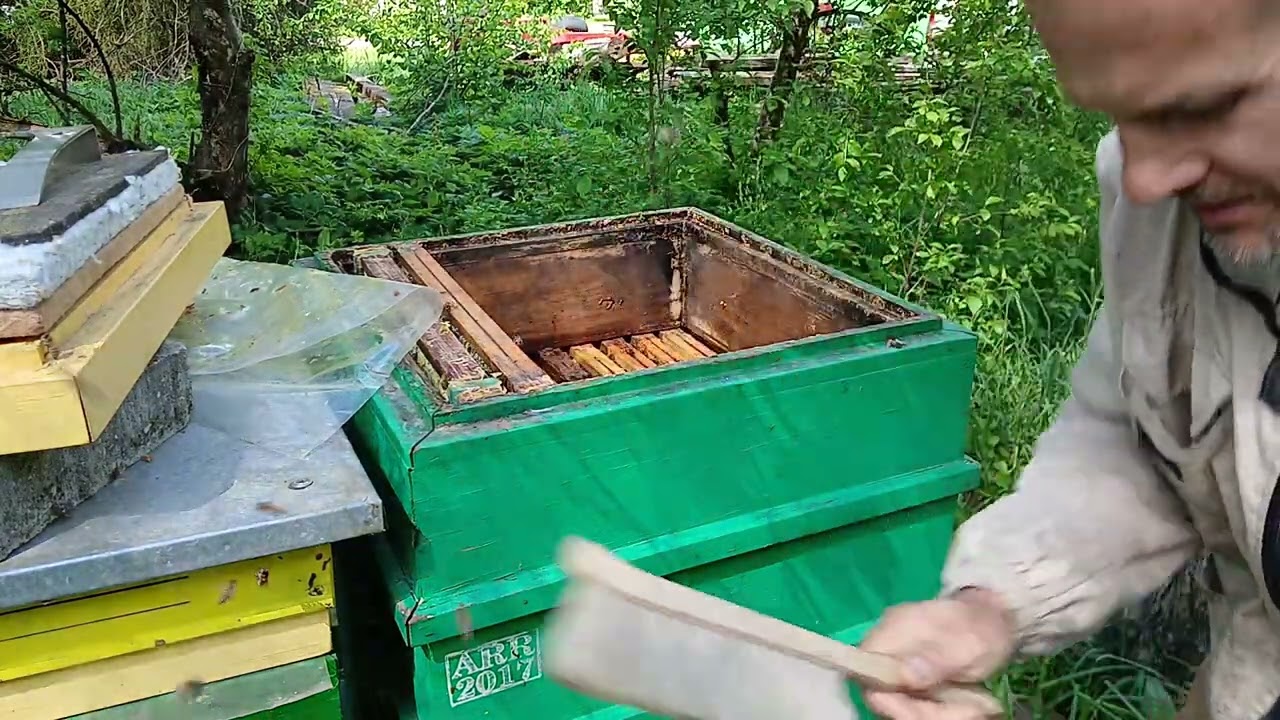 Pierwsze w tym roku podbieranie miodu. 24.05.2025