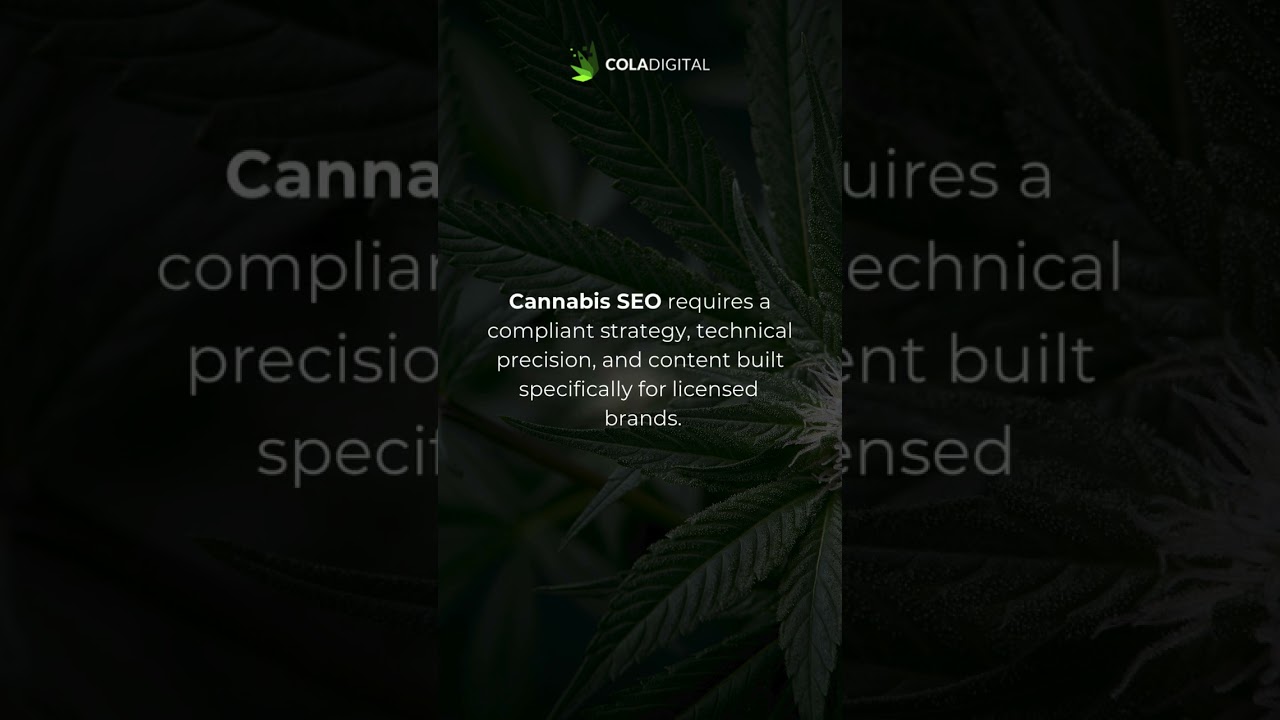 Why Your Cannabis Brand is Invisible on Google