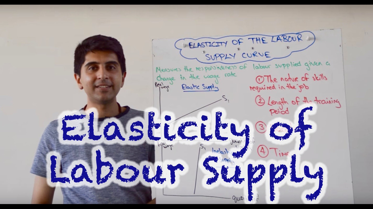Elasticity of the Labour Supply Curve