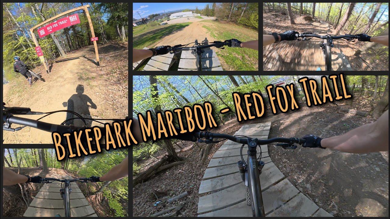 Bikepark Maribor Gravity Riot 2025 - Red Fox Trail Full Run