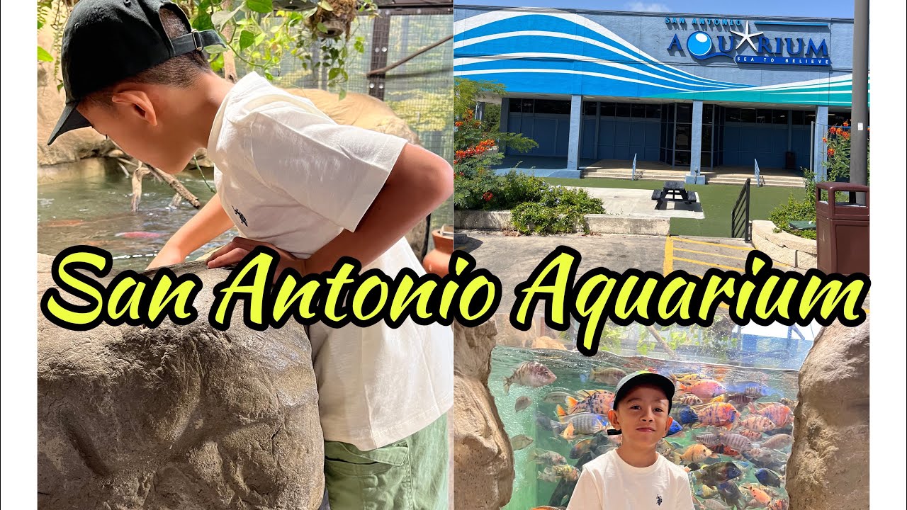 San Antonio Aquarium Experience 2023