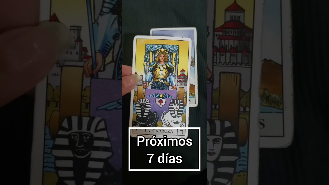 Sagitario, pr&oacute;ximos 7 d&iacute;as. #tarotsemanal #tarotsignos #tarotsagitario
