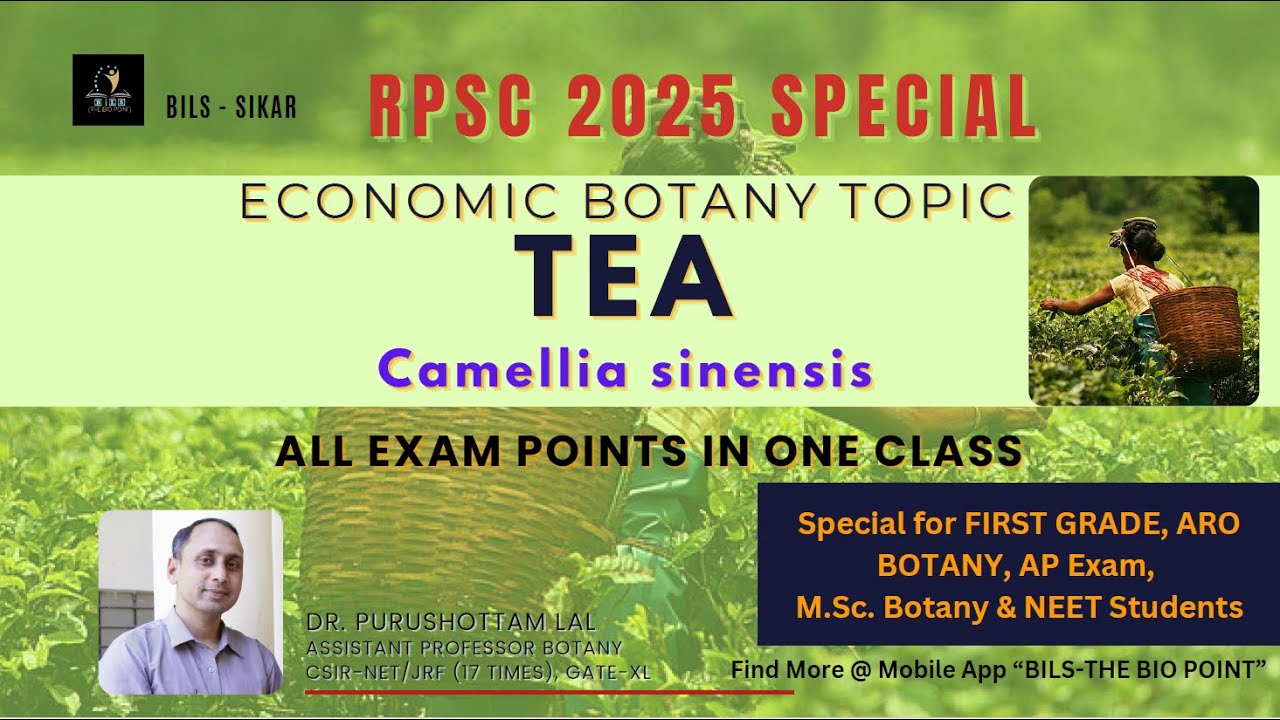 Beverage Plant - Tea (Camellina sinensis)  Economic Botany Easy Notes Based Class for all Exams