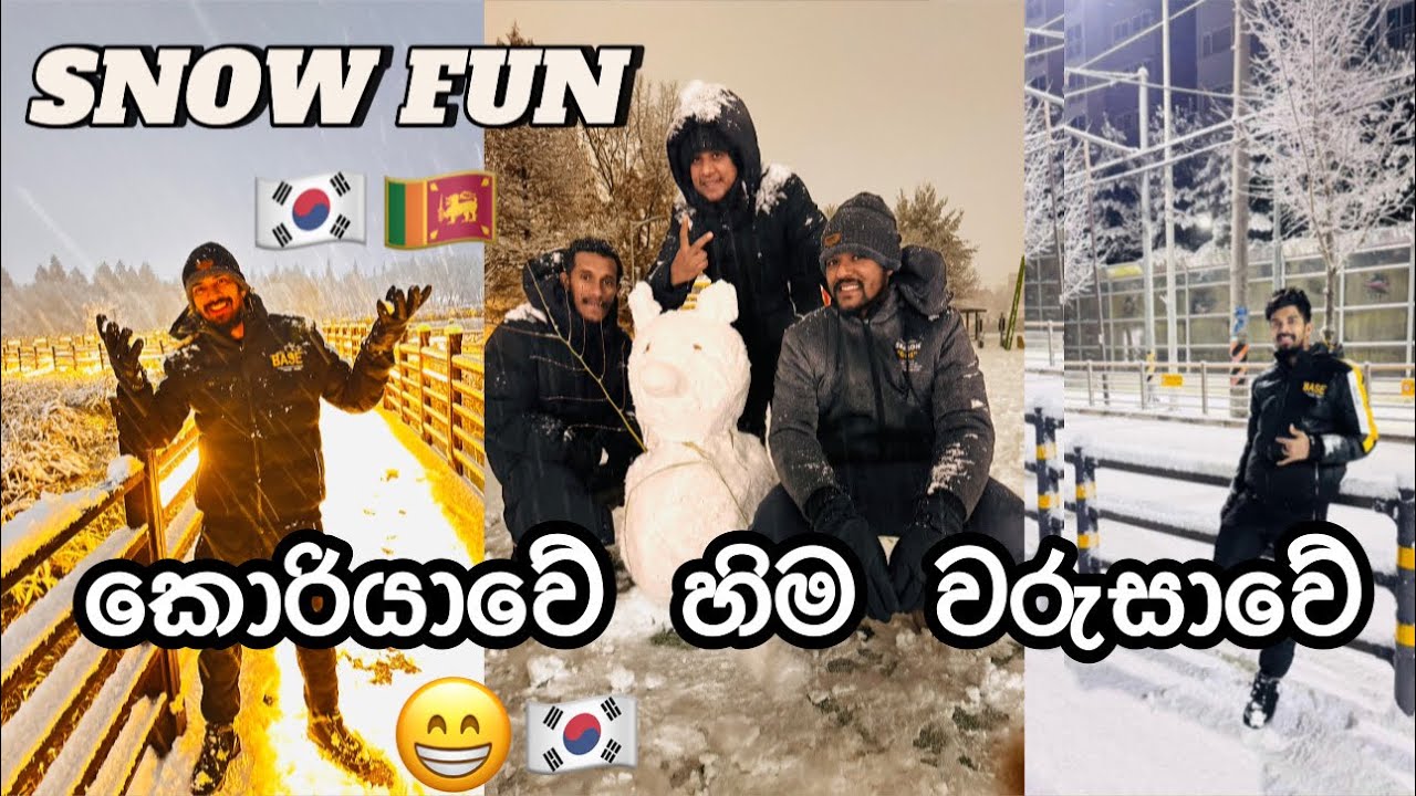 කොරියාවේ මහා හිම ප්‍රසංගය Korean snow show 🇰🇷❤️ korean exam 2025