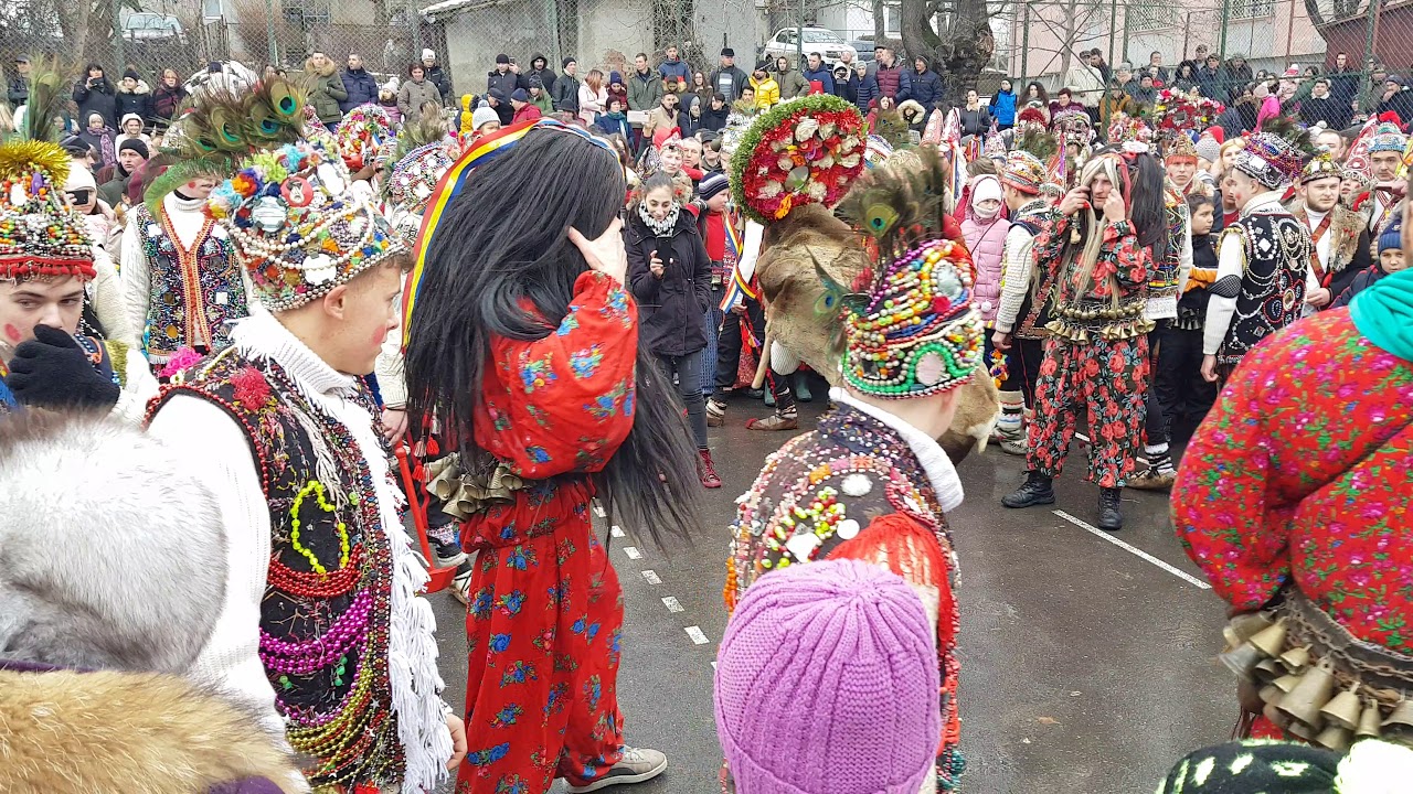 Cotnari 2019- cerbul de la Lupăria 🎄🇹🇩👏🥰🎅🎆❄