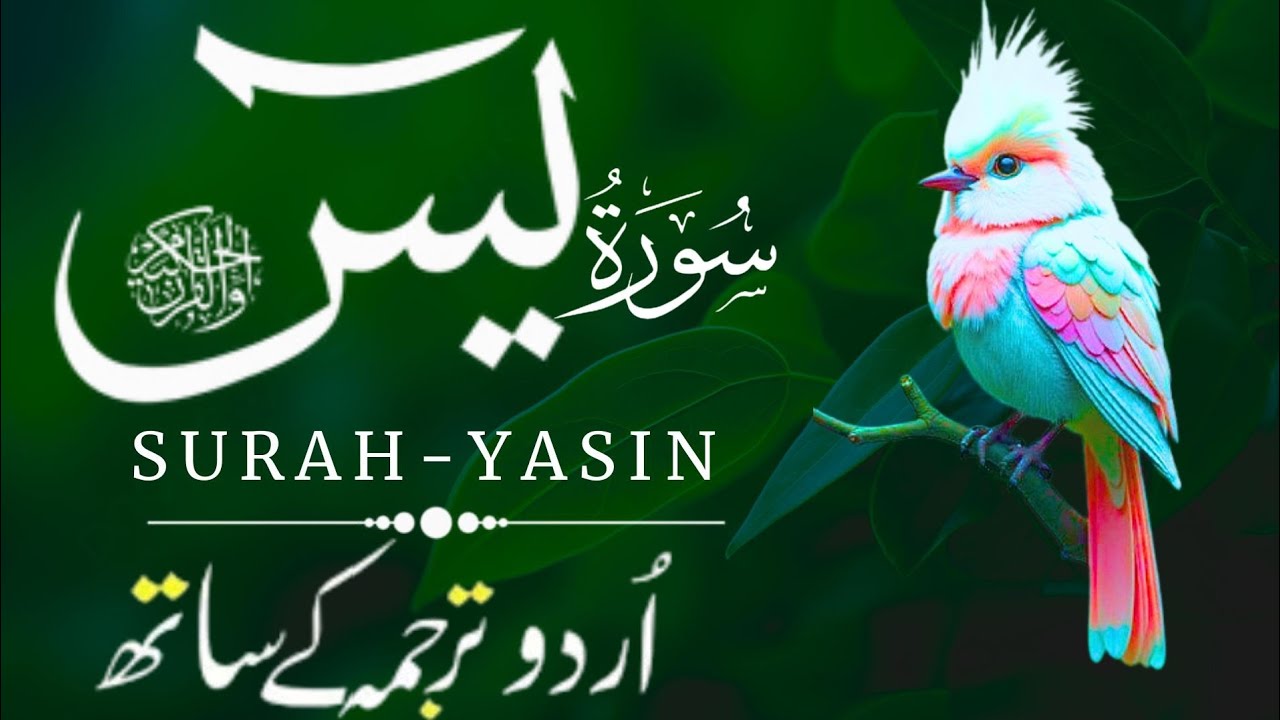 Surah Yaseen(Yasin) with Urdu Translation – EP 181 | Beautiful Quran Recitation | Al Muqra