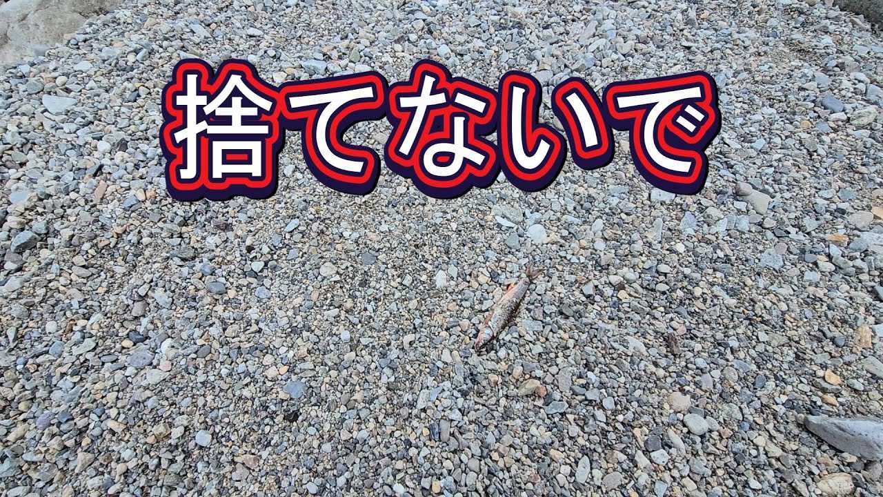 【絶対やらないでください。お願いします】渓流釣り
