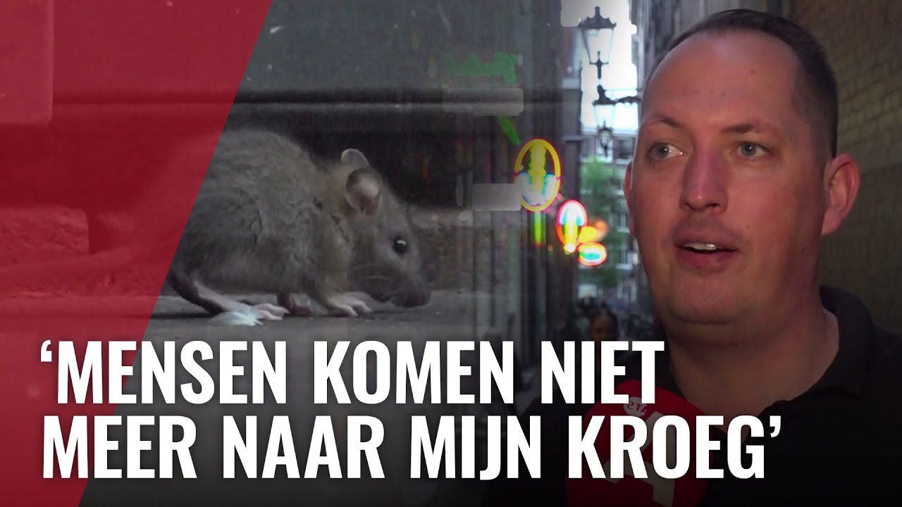Kalverstraat verandert 's nachts in rattenparadijs