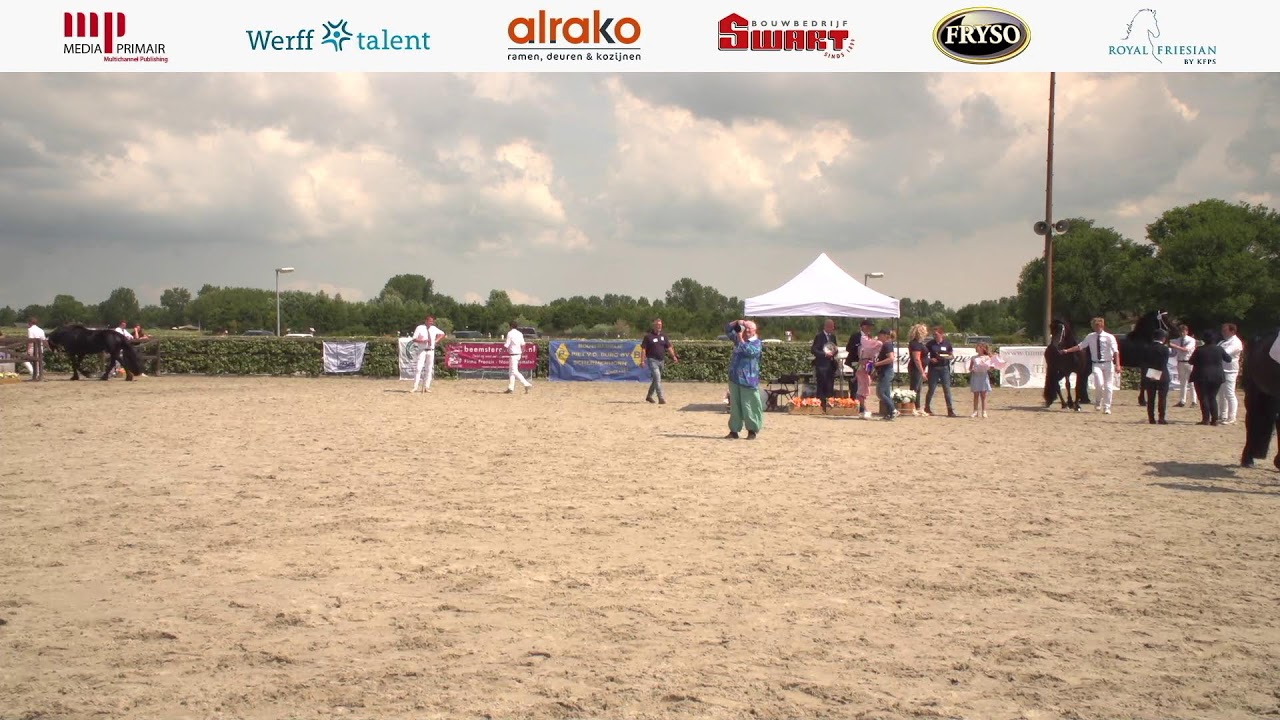Fokdag | Fokvereniging het Friesche Paard Noord- en Zuid-Holland | 27 juli 2024