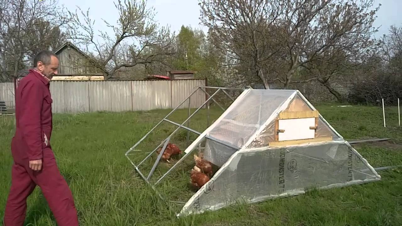 Куриный трактор