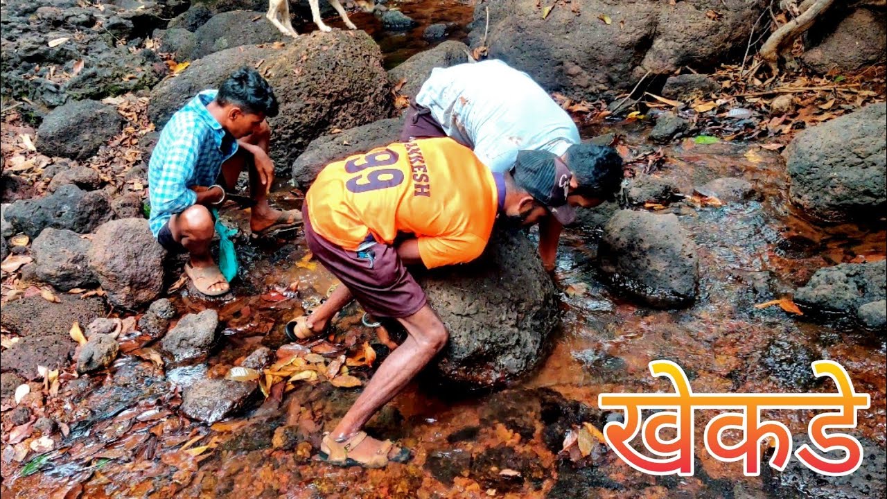 दगडाखालून खेकडे पकडण्याची मज्जा , बिळातून काढले खेकडे |Traditional crab catching in kokan #tejagurav