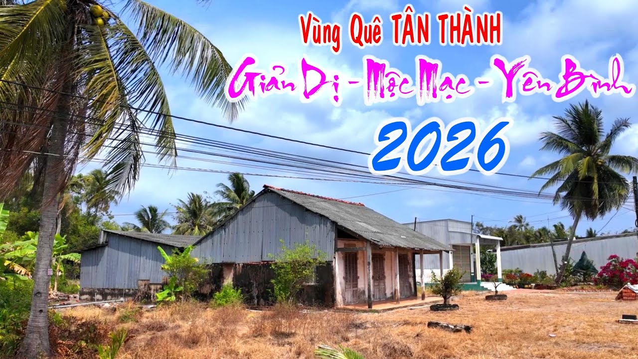 Bất ngờ trên đường làng quê PHƯỜNG TÂN THÀNH nhừng ngày giáp tết 2026 giản dị, mộc mạc như thế nào?