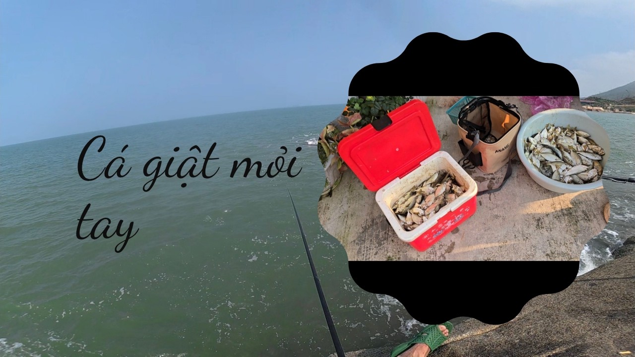 1 Ngày Câu Cá Nhiều Chưa Từng Có