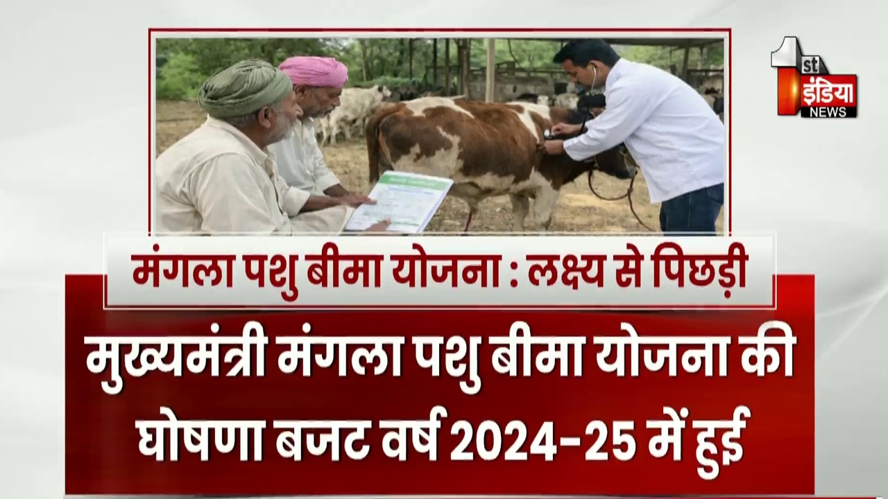मुख्यमंत्री मंगला पशु बीमा योजना लक्ष्य से पीछे, इस बार के बजट में नहीं हुआ जिक्र भी | Rajasthan