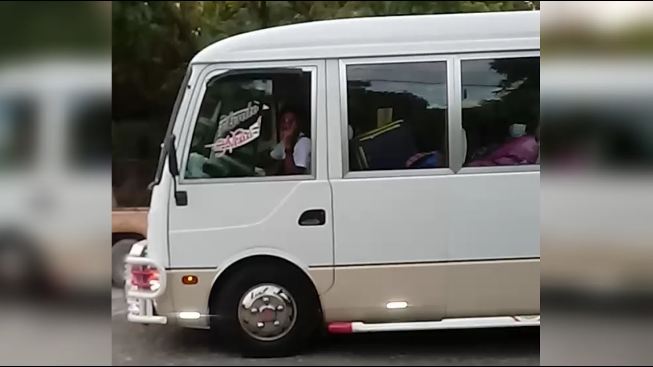 MITSUBISHI FUSO ELIAS PIÑA SANTO DOMINGO LA LEONORA EL MEME AL VOLANTE (Guáguas)
