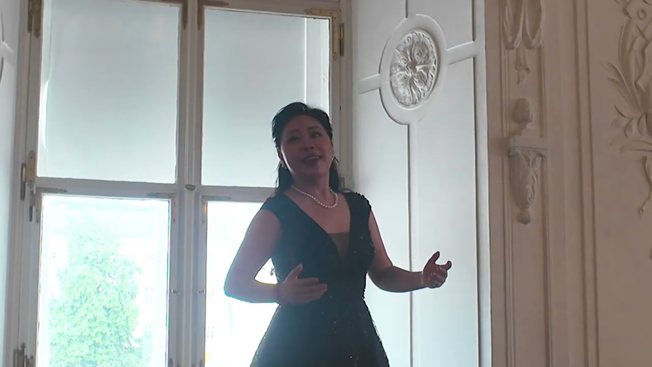 《梧桐树》演唱： 杨丽（女中音）中央歌剧院歌唱家 国家一级演员