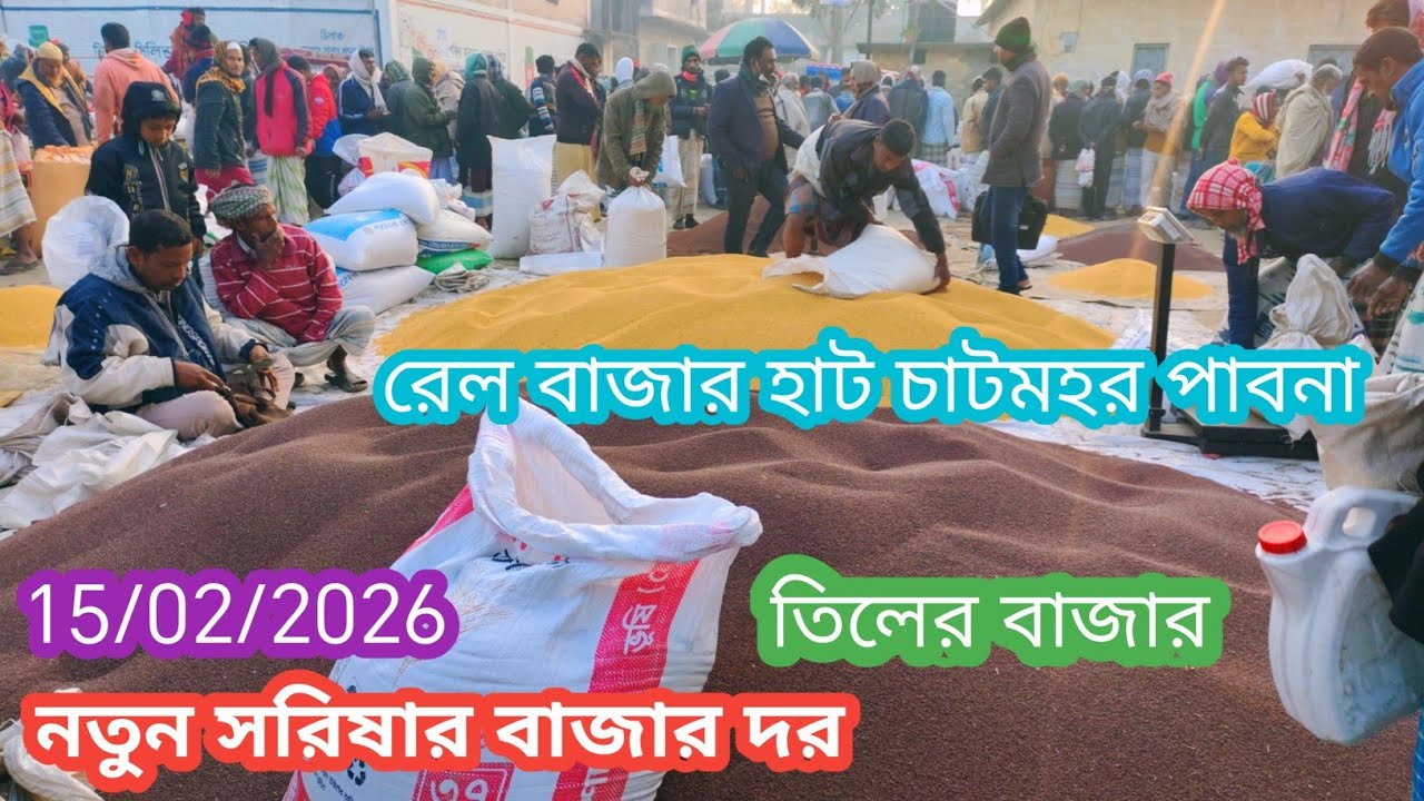 15 February 2026 আজকের নতুন সরিষার বাজার দর। আজকের তিলের বাজার দর। রেলবাজার হাট চাটমহর পাবনা।