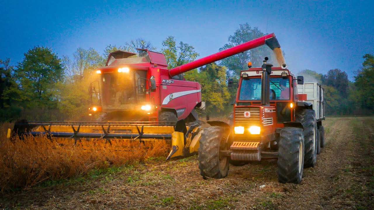 Laverda M304 Special Power + Barra New Holland 7,5 m & Fiatagri 180-90 | Raccolta Soia