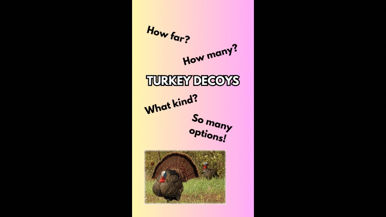 All Things Turkey Decoys