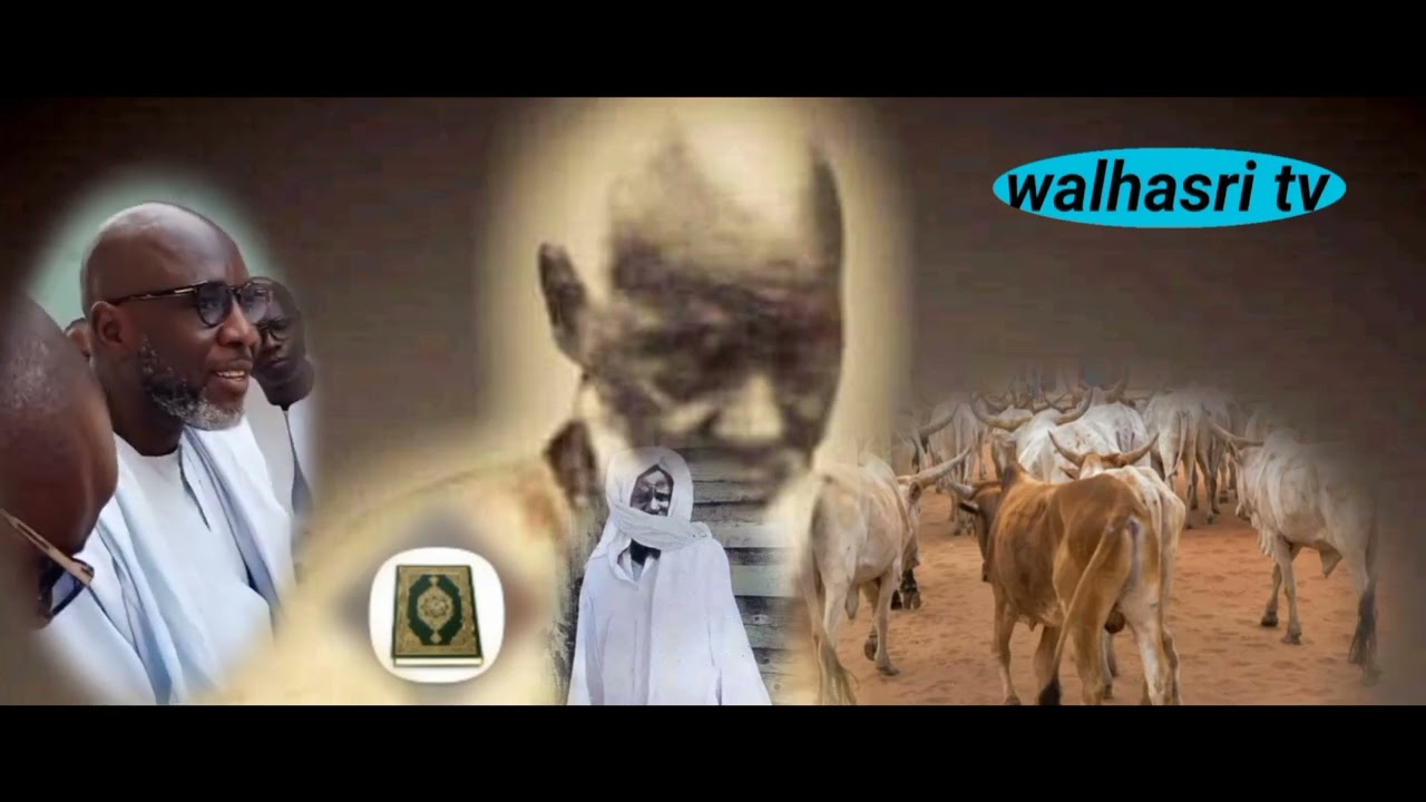 waxtan wou am solo thé degante S.touba ak mame therno ak boroom nak yi