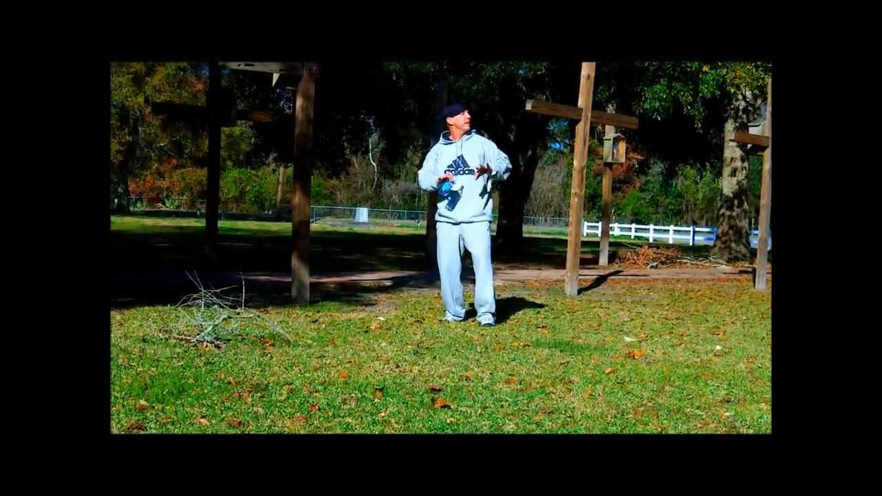 BossCat.wmv