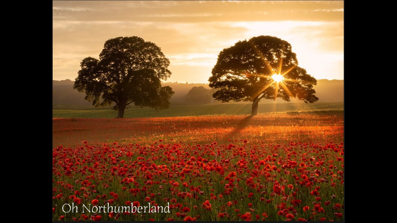 Oh Northumberland