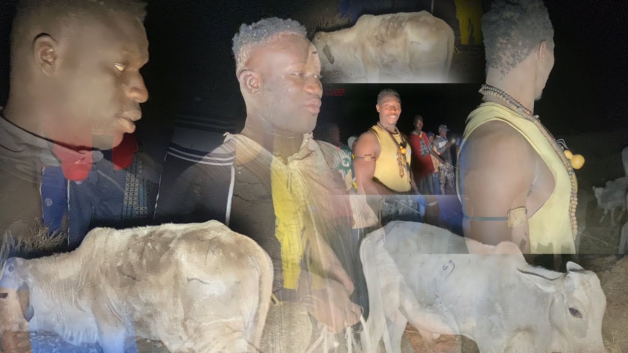 PARTAGE DES BŒUFS LAMBE SOB NIAKHAR LE 22 DÉCEMBRE 2024