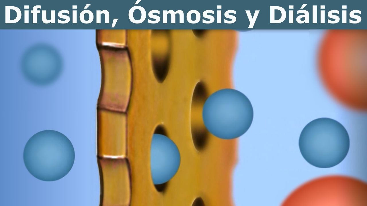 Difusi&oacute;n, &Oacute;smosis y Di&aacute;lisis (divulgaci&oacute;n cient&iacute;fica IQOG-CSIC)