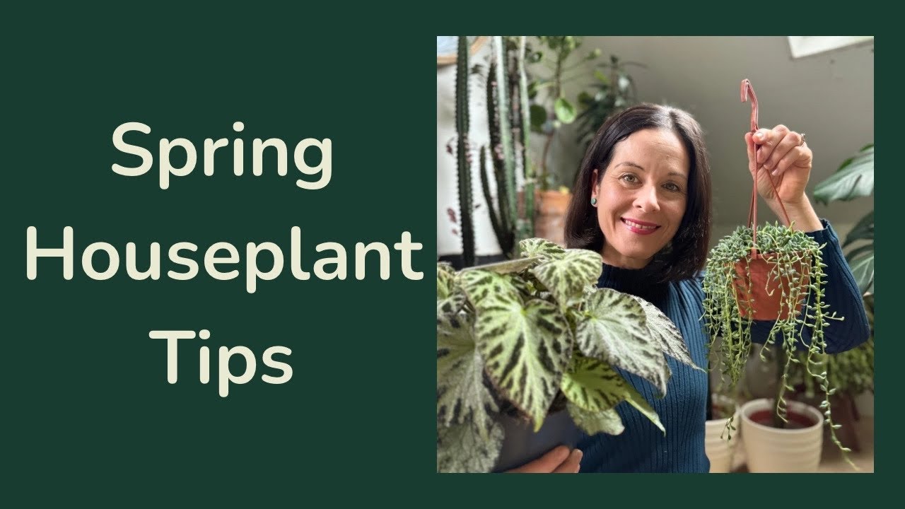 Prepare Plants for Growing Season 🌱 Spring Houseplant Tips 🌿