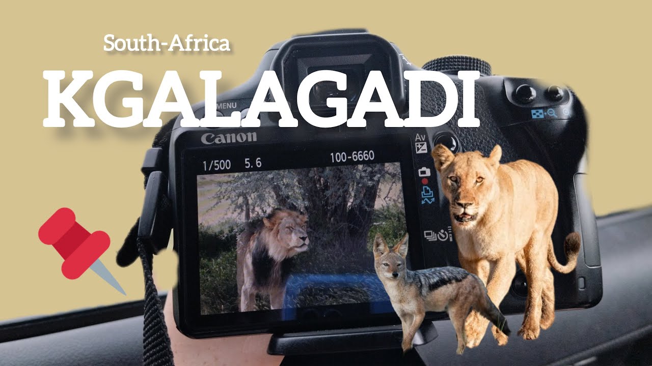 KGALAGADI SOUTH-AFRICA TRIP