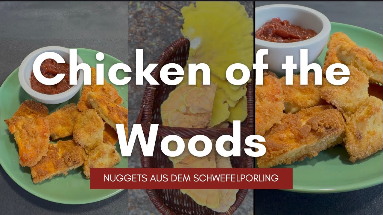 Nuggets aus dem Schwefelporling - Chicken of the Woods