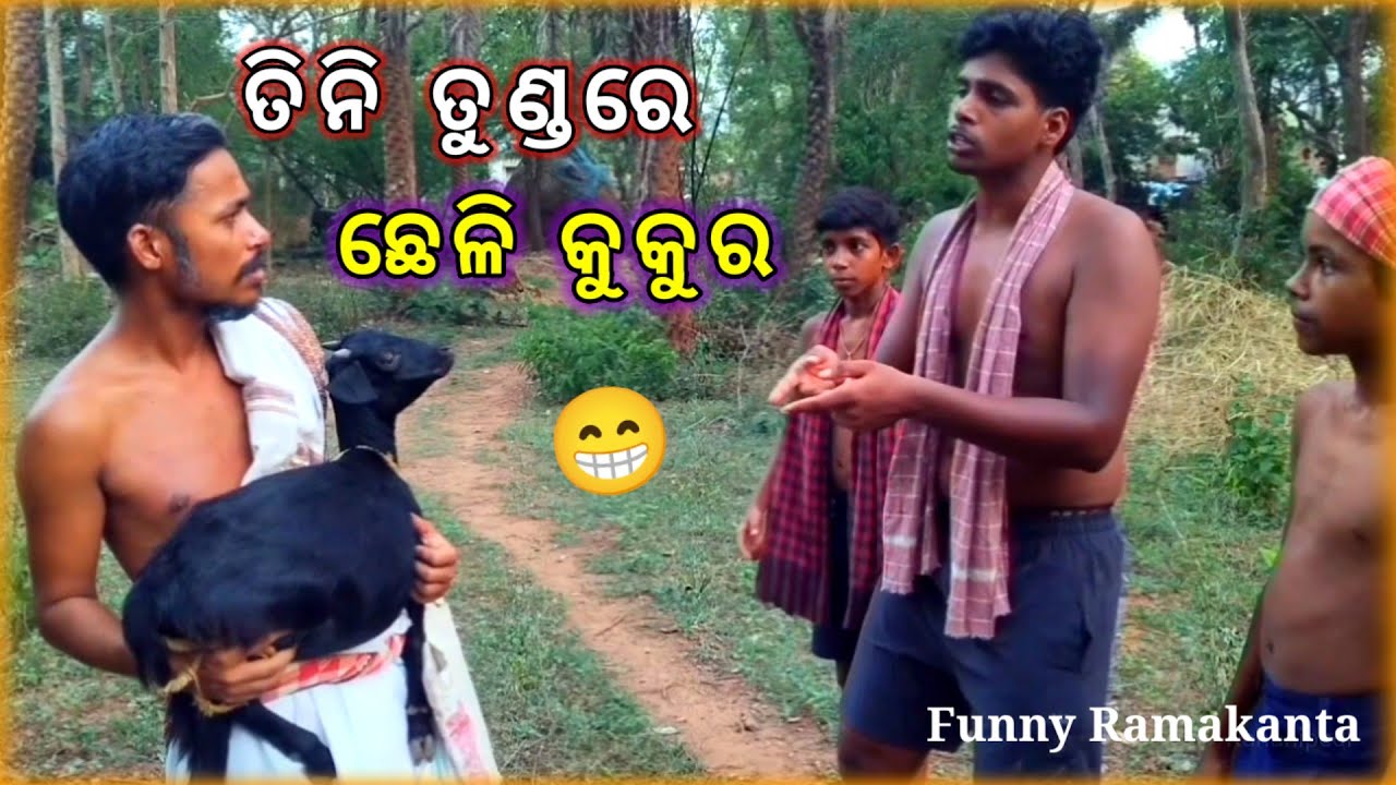 ତିନି ତୁଣ୍ଡରେ ଛେଳି କୁକୁର // Tini tundare chheli kukura