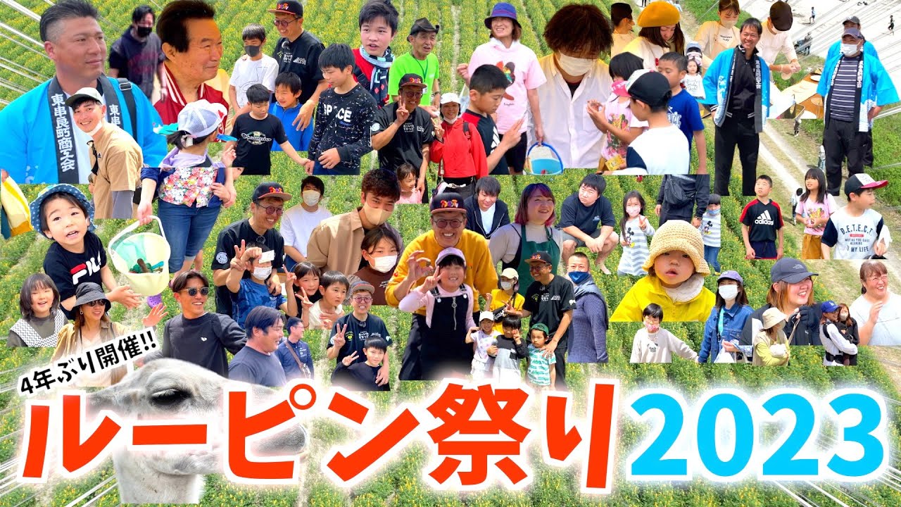 【4年ぶりの開催‼︎】柏原海岸で行われたルーピン祭りに行ってみた‼︎