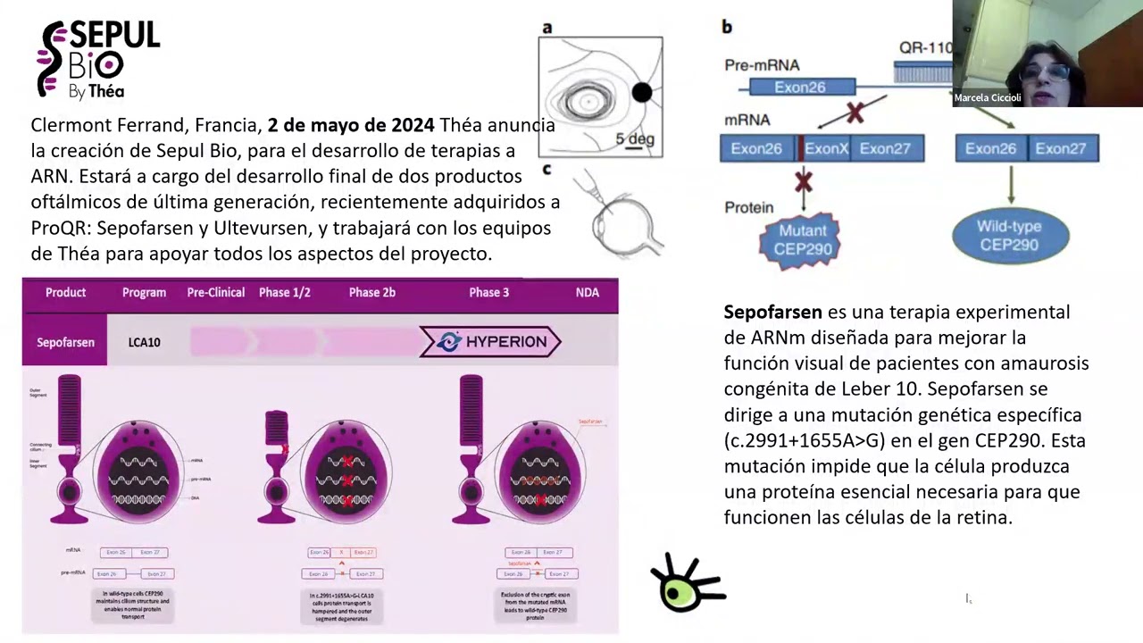 WEBINARIO RETINA ARGENTINA 2024 - Segunda Jornada - 20/7