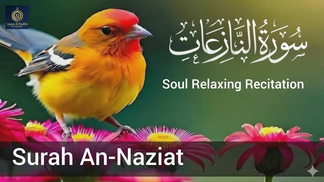 Surah An-Naziat Full | سورة النازعات | Soul Relaxing Recitation | Quran & Hadith Official